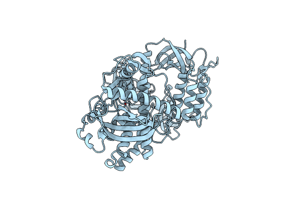 7DCY image