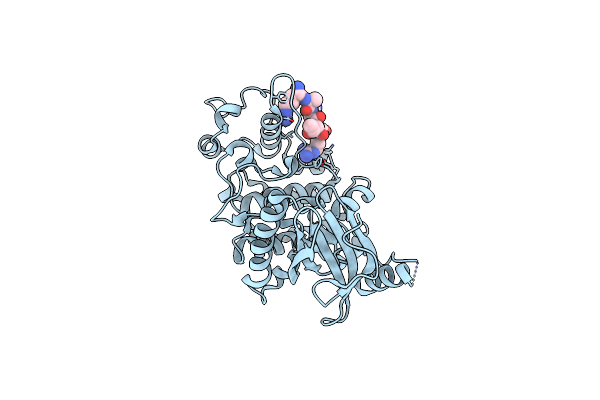 7DD1 image