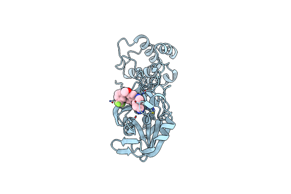 7DDC image