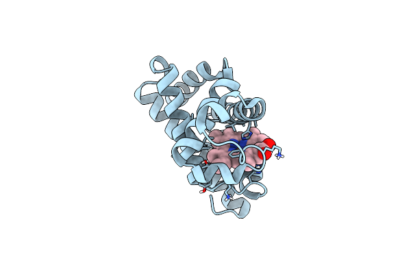 7DDS image