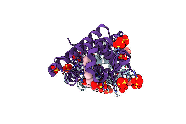 7DDU image