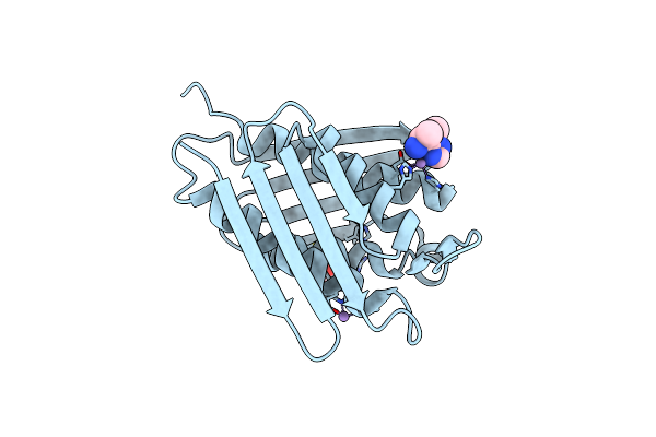 7DDV image