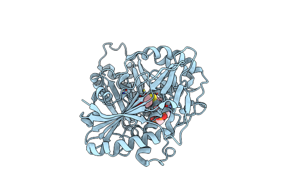 7DEX image