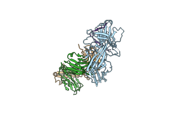 7DFB image