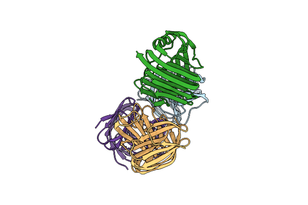 7DFM image