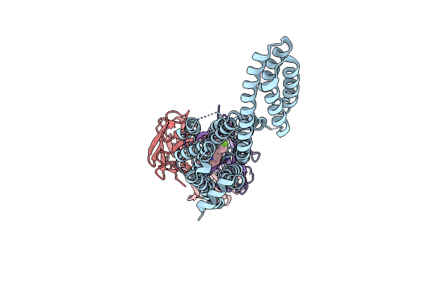 7DFP image