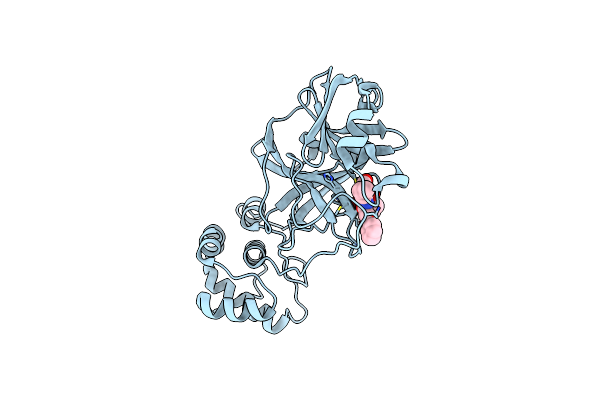 7DGF image