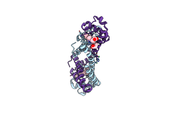 7DGL image