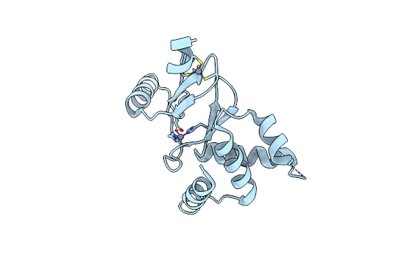 7DH8 image