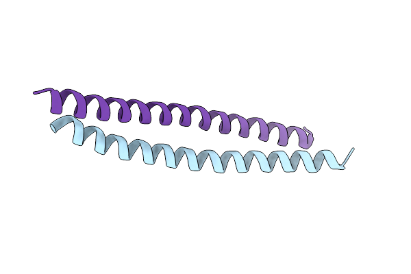 7DHB image