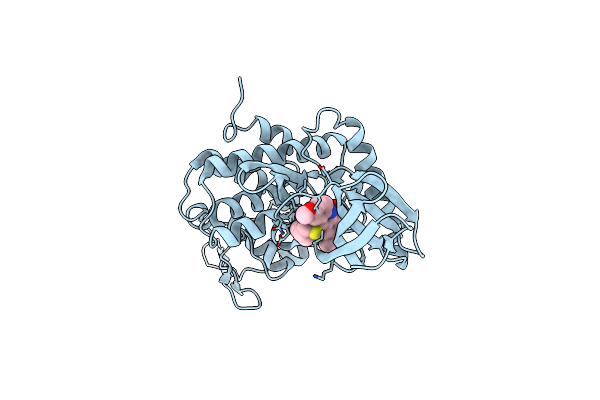 7DHH image