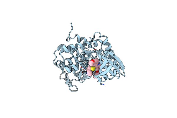 7DHK image