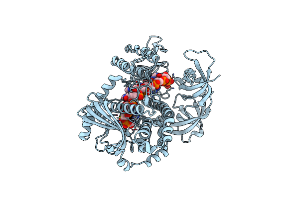 7DIC image