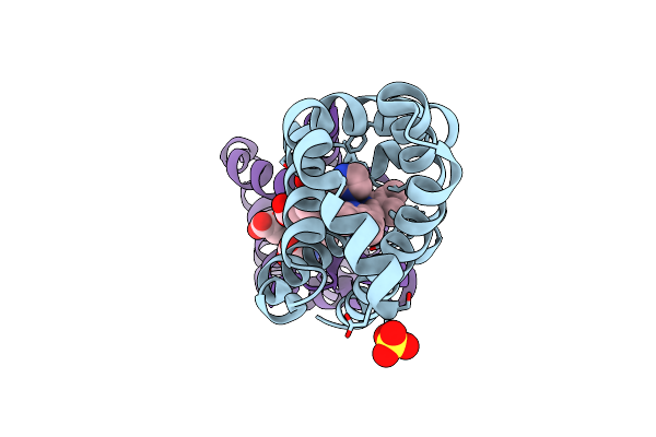 7DIH image