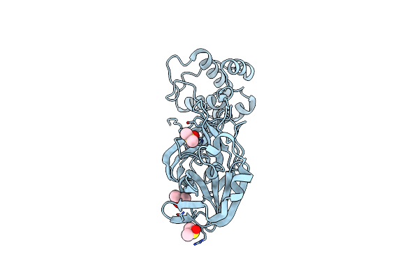 7DJR image