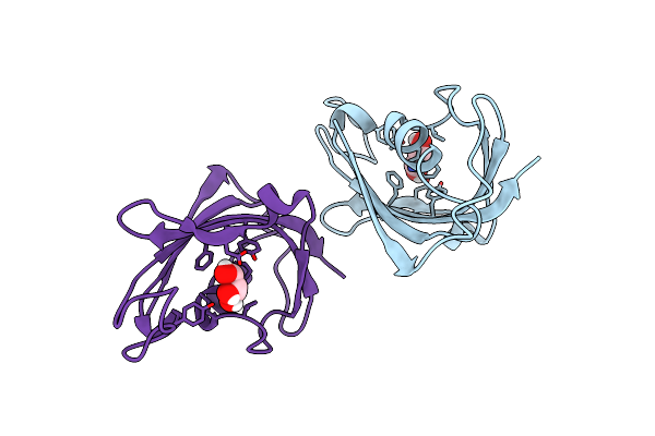7DKI image