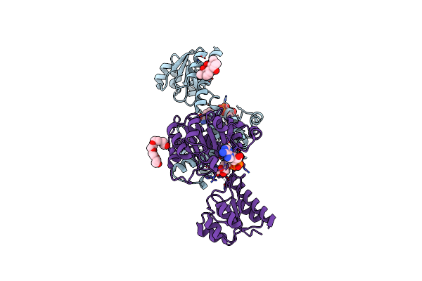 7DKM image