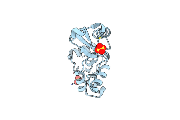 7DKN image