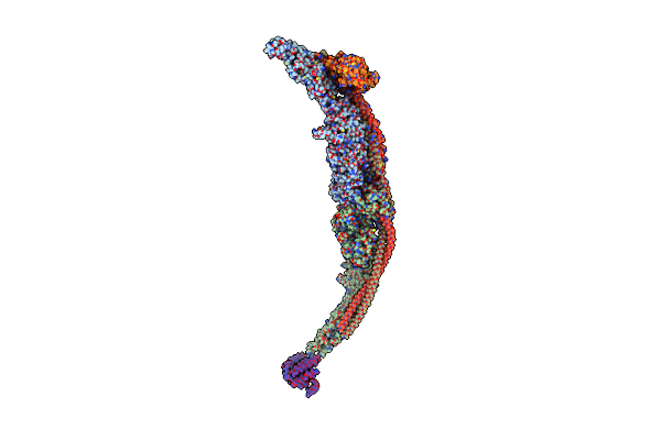 7DL2 image
