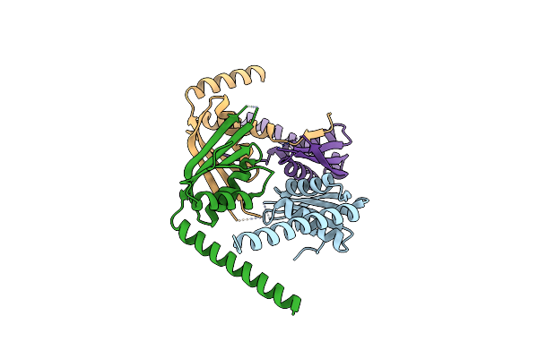 7DL8 image