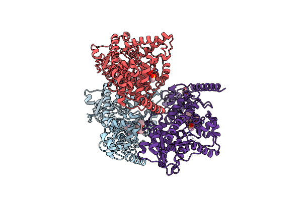 7DLI image