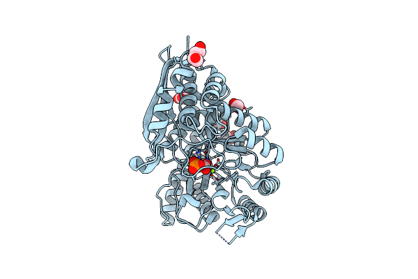 7DLR image