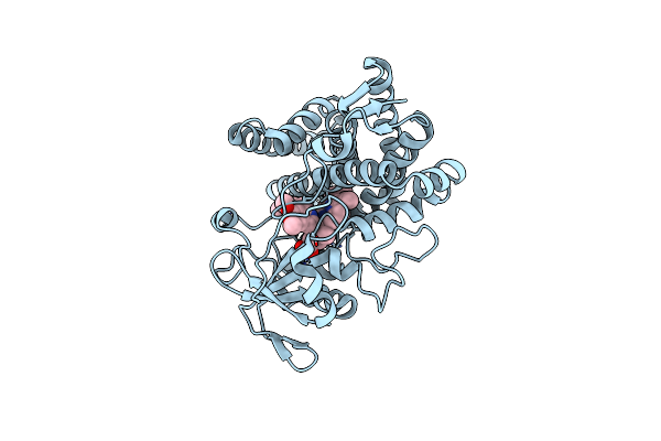 7DLS image