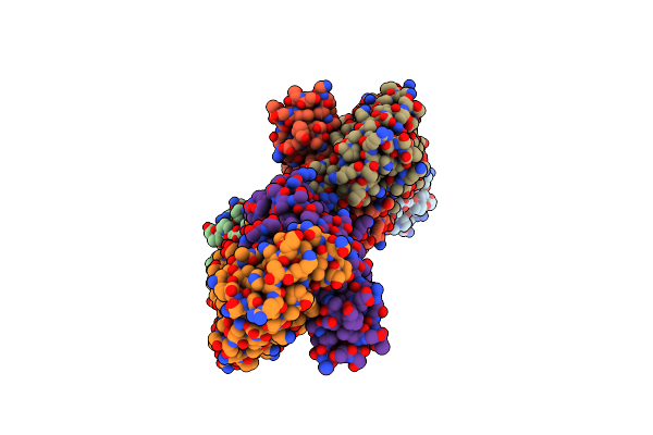 7DM1 image