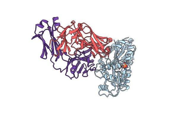 7DM2 image