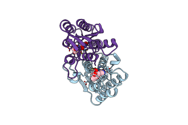 7DM5 image