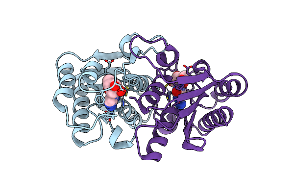 7DM6 image
