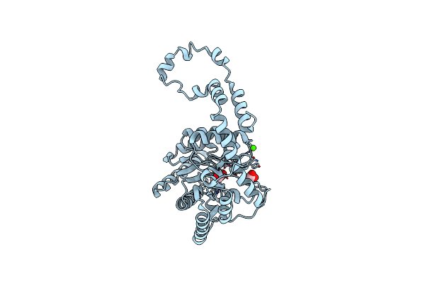 7DMM image