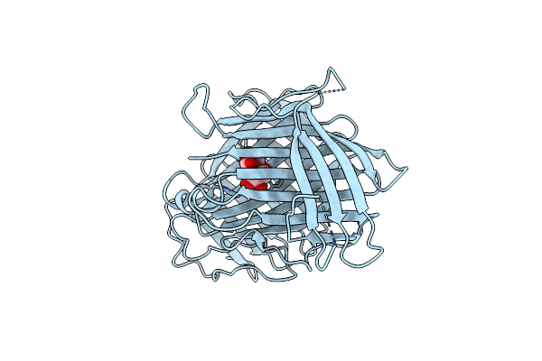 7DMN image