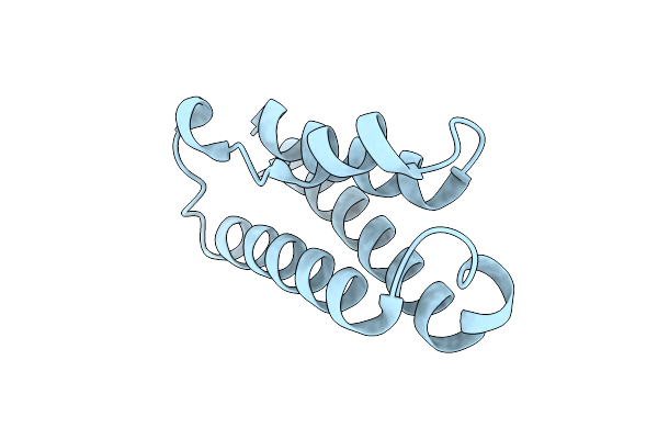 7DMS image