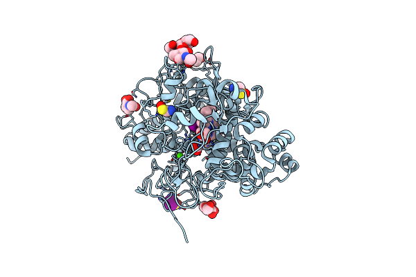 7DN7 image