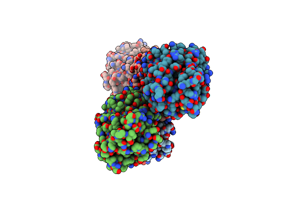 7DNA image