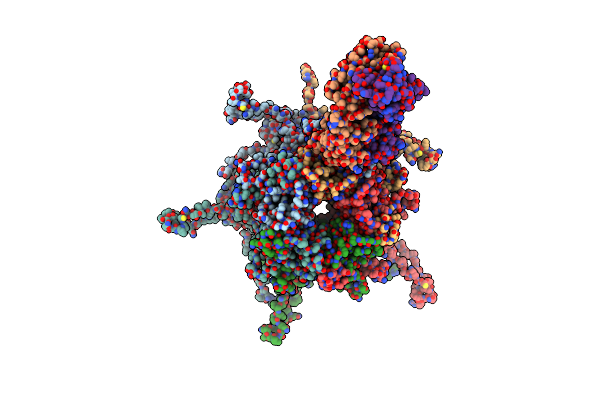 7DNH image