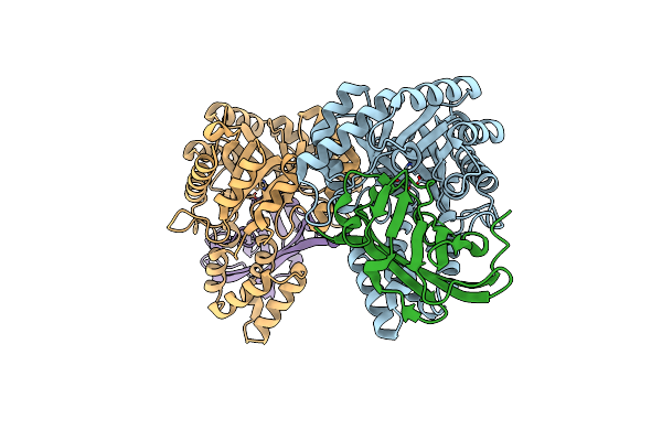 7DNM image