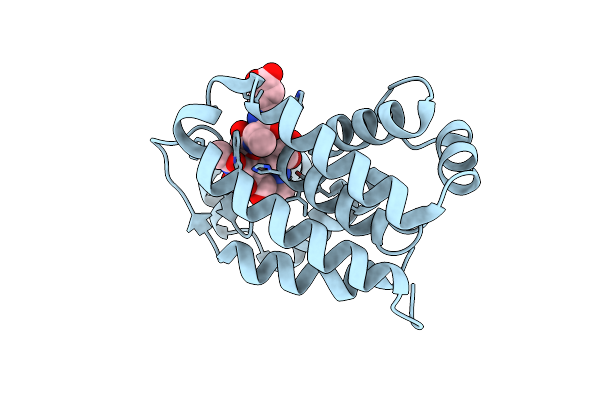 7DNP image