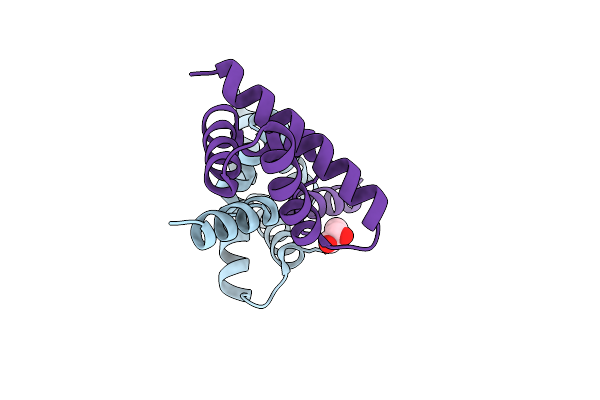 7DNS image