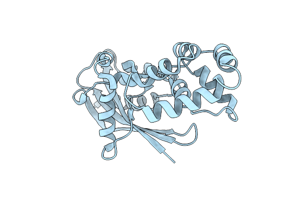 7DNT image