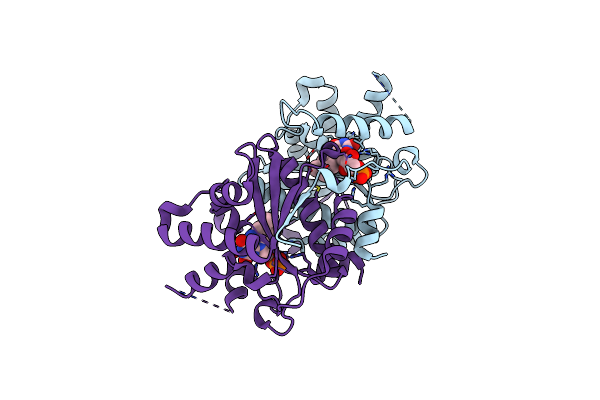 7DP1 image