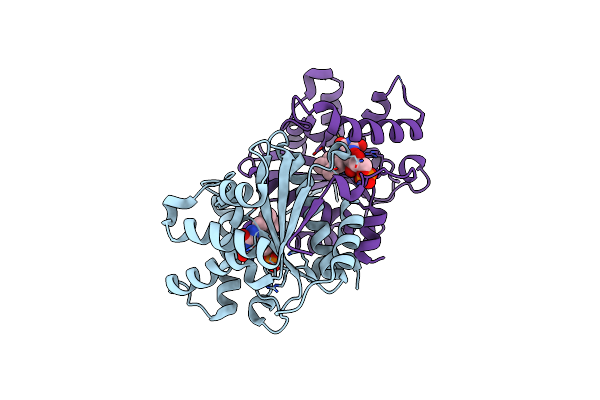 7DP2 image