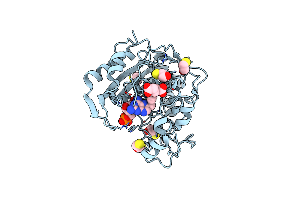 7DP4 image