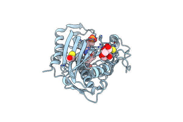 7DP5 image