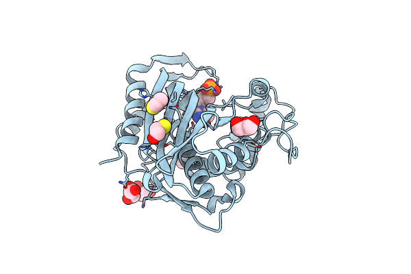 7DP6 image