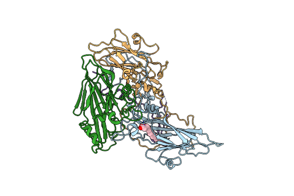 7DPF image
