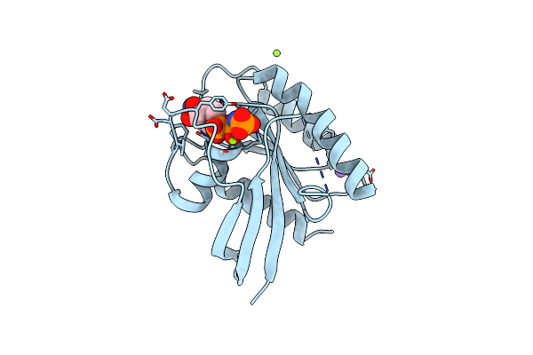 7DPH image