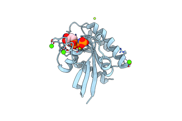 7DPJ image