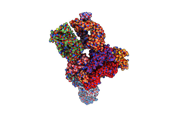 7DPM image